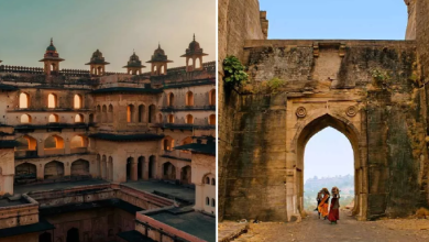 Photo of सिर्फ टूरिस्ट स्पॉट नहीं, बॉलीवुड का अड्डा भी है मध्य प्रदेश