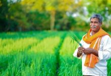 Photo of PM Kisan 21st Installment में देरी से बचने के लिए कर लें ये जरूरी काम