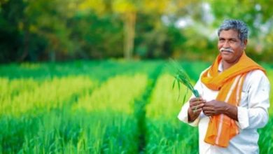 Photo of PM Kisan 21st Installment में देरी से बचने के लिए कर लें ये जरूरी काम