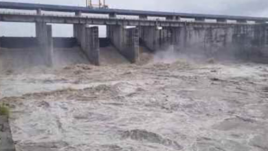 Photo of बारिश से नदियों का जलस्तर बढ़ा: हरियाणा में यमुना खतरे के निशान से ऊपर, येलो अलर्ट जारी