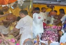 Photo of  बरसाना में राधारानी के जन्मोत्सव की धूम…दर्शन के लिए उमड़ा हुजूम