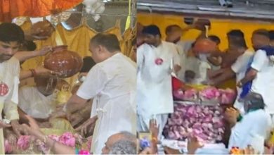 Photo of  बरसाना में राधारानी के जन्मोत्सव की धूम…दर्शन के लिए उमड़ा हुजूम