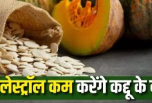 Photo of कोलेस्ट्रॉल कम करने के लिए रोज खाएं एक मुट्ठी कद्दू के बीज