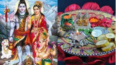 Photo of इन चीजों के बिना अधूरी है हरतालिका तीज की पूजा