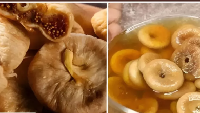 Photo of 5 फायदे जानकर आप भी खाली पेट खाने लगेंगे भीगे हुए अंजीर, चंद हफ्तों में शरीर की कमजोरी होगी दूर