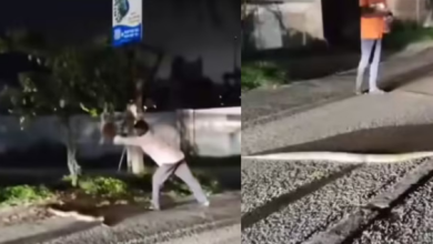 Photo of  सड़क पर रेंगता दिखा बड़ा अजगर तो लोगों ने की पत्थर से मारने की कोशिश