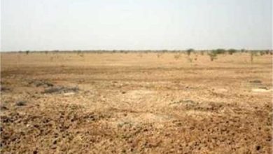 Photo of पंजाब में इन जमीनों को लेकर सरकार ने लिया बड़ा फैसला