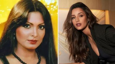 Photo of पर्दे पर परवीन बाबी बनेंगी तृप्ति डिमरी, दिवाली पर फैंस को मिलेगा बिग सरप्राइज?