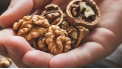 Photo of दिन में किस समय खाएं अखरोट ताकि सेहत को मिले दोगुना फायदा?