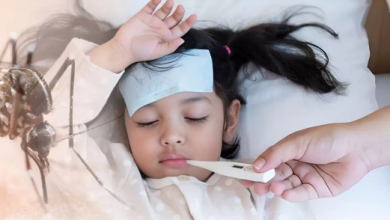 Photo of बच्चों में न्यूरोलॉजिकल डिसऑर्डर की वजह बन रहा डेंगू, स्टडी में हुआ चौंकाने वाला खुलासा