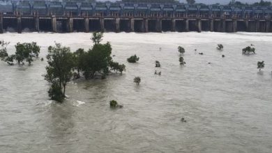 Photo of पठानकोट में पहाड़ दरके, लुधियाना में सेना ने संभाला मोर्चा; बाढ़ से अब तक 43 की मौत