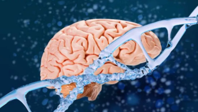 Photo of हंटिंगटन डिजीज के इलाज में नई उम्मीद! जीन थेरेपी बनी गेम-चेंजर, 75% तक धीमी हुई बीमारी की रफ्तार