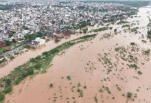 Photo of हरियाणा में घग्गर-मारकंडा का कोहराम: कई जिलों की फसलें जलमग्न, गांवों में जलभराव