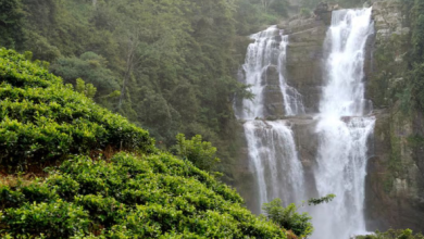 Photo of नॉर्थ-ईस्ट भारत की इन 5 जगहों की खूबसूरती देख हैरान हो जाएंगे आप