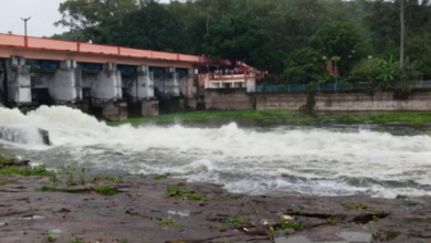 Photo of भोपाल में सुबह से हो रही बारिश, सीजन में पहली बार खुला भदभदा डैम का गेट