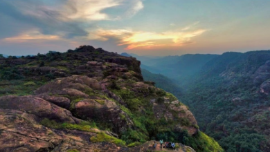Photo of भोपाल के पास बारिश में भीगता स्वर्ग, दो दिन की छुट्टी में घूम आएं ये शानदार जगहें