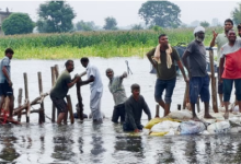 Photo of हरियाणा के 5 जिलों में हालात बिगड़े, फसलें खराब..रिहायशी इलाकों में घुसा पानी