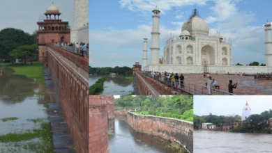 Photo of यमुना की लहरों के बीच ताजमहल दीदार… ऐसा दृश्य देखने उमड़े पर्यटक