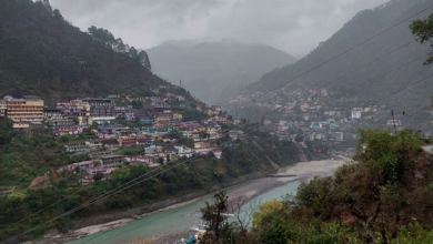 Photo of भूस्खलन-भूधंसाव से कई हेक्टेयर जंगल नष्ट, रैणी आपदा में भी ऋषि गंगा के बहाव से बह गया था बड़ा हिस्सा