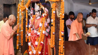 Photo of सीएम योगी आदित्यनाथ ने देवीपाटन मंदिर में की पूजा-अर्चना, चना… गुड़ और रोटियां खिलाकर करी गोसेवा