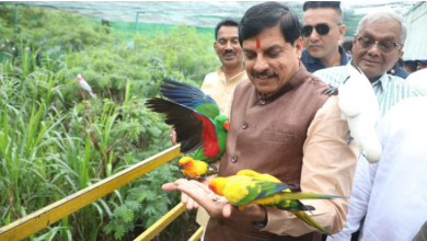 Photo of इंदौर प्राणी संग्रहालय में शिमोगा से आई चार जंगली भैंस, मुख्यमंत्री देखने पहुंचे नए मेहमान को