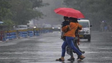 Photo of पंजाब में बाढ़ के बीच बारिश को लेकर आई नई अपडेट, मौसम विभाग ने दी नई जानकारी
