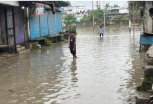 Photo of भैरूंदा में मूसलाधार बारिश से जनजीवन अस्त-व्यस्त, निचली बस्तियां जलमग्न