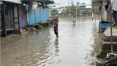 Photo of भैरूंदा में मूसलाधार बारिश से जनजीवन अस्त-व्यस्त, निचली बस्तियां जलमग्न