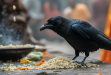 Photo of आज किया जाएगा सप्तमी श्राद्ध, पंचांग से जानें शुभ मुहूर्त