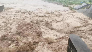 Photo of हथिनीकुंड बैराज से फ्लड की घोषणा, सायरन बजाकर किया अलर्ट