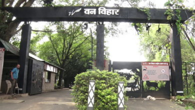 Photo of वन विहार में इसी महीने बंद होगा निजी वाहनों का प्रवेश, 40 गोल्फ कार्ट का होगा संचालन