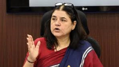 Photo of उत्तराखंड: बीजेपी नेता मेनका गांधी ने वन महकमे की भूमिका पर उठाए सवाल