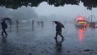 Photo of हरियाणा के 4 जिलों में बारिश का येलो अलर्ट