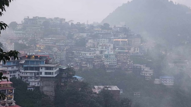 Photo of जॉर्ज एवरेस्ट में विकास कार्यों के टेंडर प्रक्रिया पर उठे सवाल