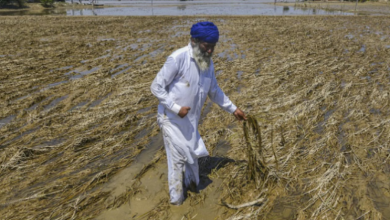 Photo of पंजाब: बाढ़ पीड़ित किसानों की मदद के लिए पीलीभीत के कई गांवों आगे आए
