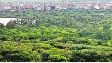 Photo of साफ हवा और हरियाली के लिए डीडीए की 16 नई परियोजनाएं