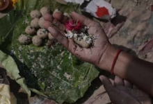 Photo of पितृ पक्ष की दशमी तिथि पर बन रहे ये योग