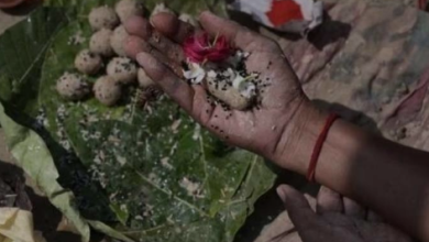 Photo of पितृ पक्ष की दशमी तिथि पर बन रहे ये योग