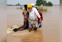 Photo of युद्ध स्तर पर राहत और पुनर्वास कार्य जारी
