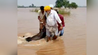 Photo of युद्ध स्तर पर राहत और पुनर्वास कार्य जारी