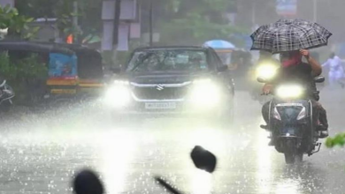 Photo of चंडीगढ़ में झमाझम बारिश के बीच जारी हुआ अलर्ट