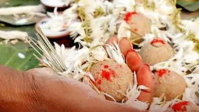 Photo of पितृ पक्ष में जरुर करें ये काम, बनी रहेगी पितरों की कृपा