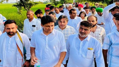 Photo of दीपेंद्र हुड्डा की सरकार से मांग, स्पेशल गिरदावरी करवा किसानों को 70 हजार रुपये प्रति एकड़ मुआवजा दे सरकार