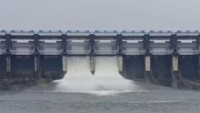 Photo of लगातार बारिश से कोलार डैम के पहली बार खोले गए दो गेट