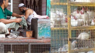 Photo of नवरात्रि पर हरियाणा के इस जिले में बंद रहेंगी मीट की दुकानें, उल्लंघन करने पर होगी सख्त कार्रवाई