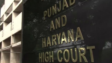 Photo of हाईकोर्ट: लंबे समय तक सेवा देने वाले कर्मियों की सेवा को कैजुअल कहना नैतिक अन्याय