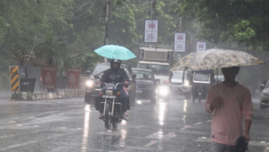 Photo of एमपी: सिवनी, मंडला और बालाघाट में आज तेज बारिश का अलर्ट