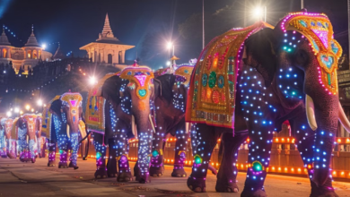 Photo of इन जगहों पर परिवार संग मनाएं दिवाली, मिलेगी रोशनी और खुशियों की सौगात