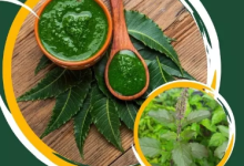 Photo of घने और मजबूत बालों के लिए आजमाएं नीम और तुलसी से बना हेयर मास्क