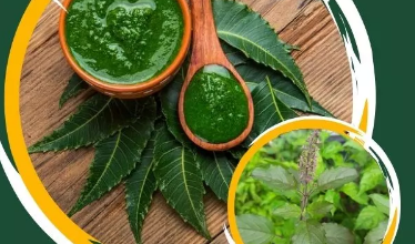 Photo of घने और मजबूत बालों के लिए आजमाएं नीम और तुलसी से बना हेयर मास्क